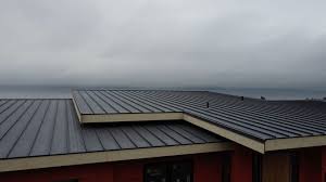 Best Green or Eco-Friendly Roofing Solutions  in Dixmoor, IL